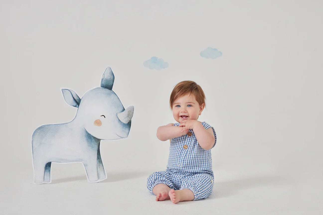 Baby wearing Tiny twig blue gingham playsuit