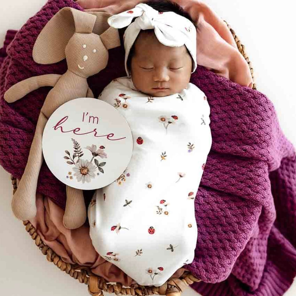 Snuggle Hunny / Ladybug / Snuggle Swaddle Set